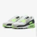  Nike Air Max 90 (DM0029-115-47.5)