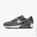  Nike Air Max 90 .46 (DR0145-003-46)