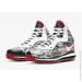  Nike Air Max LeBron 8 QS Graffiti .40 (DD8306-001-40)
