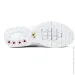  Nike AIR MAX PLUS .41 (AJ2029-100-41)