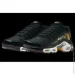  Nike Air Max Plus (DM0032-013-45)