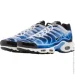  Nike Air Max Plus (DZ3531-400-44)