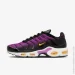  Nike Air Max Plus (DZ3670-005-42)