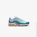  Nike Air Max Plus (DZ3671-300-40)