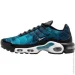  Nike Air Max Plus .40 (HV6355-001-40)