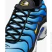 Nike Air Max Plus OG (DX0755-001-41)