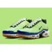  Nike Air Max Plus Se .45 (DZ0480-300-45)