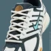  Nike Air Pegasus 2005 .45.5 (HM3727-131-45.5)