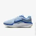  Nike AIR WINFLO 11 (FJ9509-404-43)