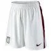  Nike Aston Villa L (347353-105)