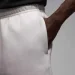  Nike Brooklyn Fleece Shorts (FV7285-133-L)