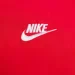  Nike Clsc Parka (FB7675-677-L)