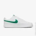  Nike Court Vision Lo Nn (DH2987-111-44)