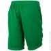 Nike DF PARK III SHORT NB K (BV6865-302-L)