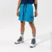  Nike DF STD ISS REV SHORT SJ (DJ3896-434-L)