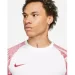   Nike Dri-FIT Academy (DH8031-100-S)