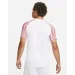   Nike Dri-FIT Academy (DH8031-100-S)