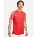   Nike Dri-Fit Academy (DH8031-657-XL)