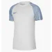 Nike Dri-Fit Academy (DH8369-102-128 )