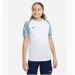 Nike Dri-Fit Academy (DH8369-102-128 )