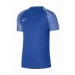 Nike Dri-FIT Academy (DH8369-463-164 CM)