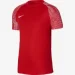 Nike Dri-FIT Academy (DH8369-657-164 CM)