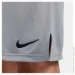  Nike Dri-Fit Knit Grey (DD1887-084-XL)
