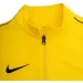 Nike Dry Park 20 (BV6885-719-S)