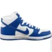  Nike DUNK HIGH PRO .45.5 (DH7149-400-45.5)