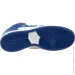  Nike DUNK HIGH PRO .45.5 (DH7149-400-45.5)