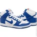  Nike DUNK HIGH PRO .45.5 (DH7149-400-45.5)