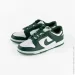  Nike Dunk Low (DD1391-101-47)