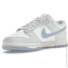  Nike DUNK LOW .44.5 (DD1873-400-44.5)