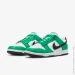  Nike DUNK LOW .45 (FN3612-300-45)