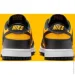 Nike DUNK LOW (FZ4618-001-46)
