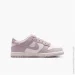  Nike Dunk Low Gs (FB9109-122-39)