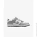  Nike Dunk Low Gs (FB9109-123-37.5)