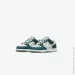  Nike dunk low gs .37.5 (FB9109-300-37.5)