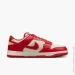  Nike Dunk Low (HF1986-100-40)