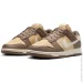  Nike Dunk Low Next Nature (DD1873-201-41)