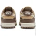  Nike Dunk Low Next Nature (DD1873-201-41)