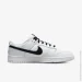  Nike Dunk Low Retro .41 (DJ6188-101-41)