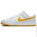  Nike DUNK LOW RETRO (DV0831-110-42)