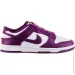  Nike DUNK LOW RETRO (DV0833-107-47)
