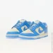  Nike Dunk Low Retro .41 (DV0833-113-41)