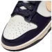  Nike Dunk Low Retro (FV8106-181-45.5)