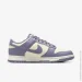  Nike Dunk Low Retro .43 (FZ4349-100-43)