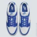  Nike DUNK LOW SC .44.5 (FN3416-001-44.5)