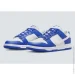  Nike DUNK LOW SC .45 (FN3416-001-45)