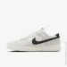  Nike Dunk Low SE (HQ3502-100-38.5)